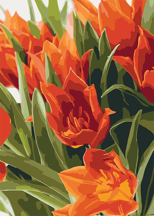 Картина по номерам Идейка Яркие тюльпаны 2 40x50 см (skl-КНО3012)