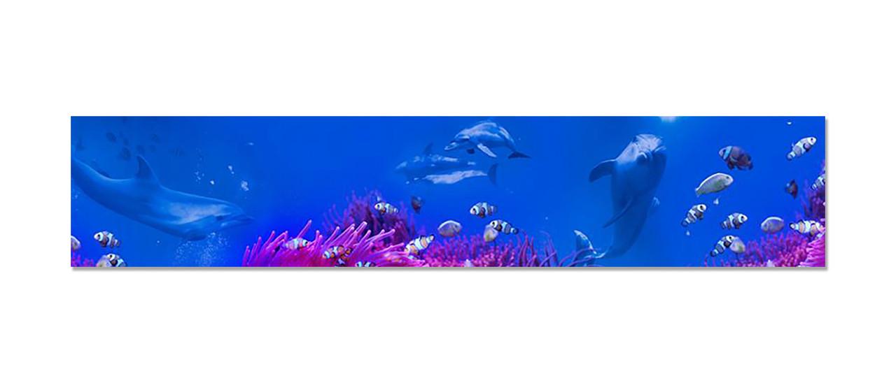 Наклейка виниловая на кухню Zatarga Подводный мир Дельфин 600х3000 мм (1289776277)