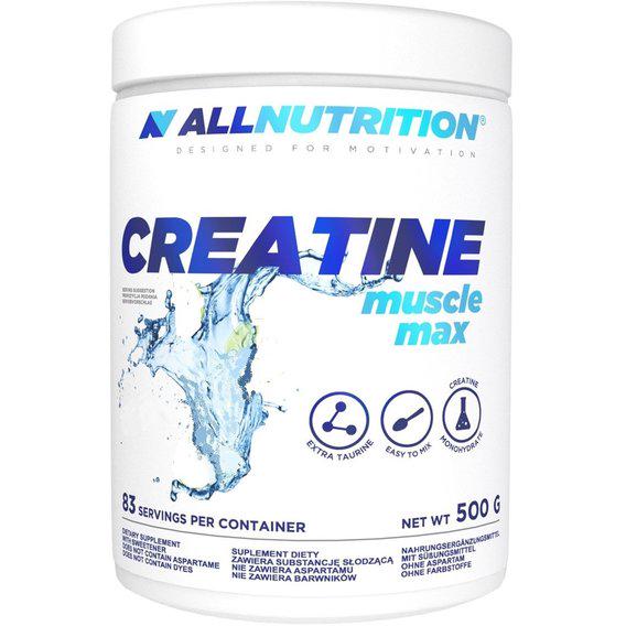 Креатин моногидрат All Nutrition Creatine Muscle Max 500 г 166 порций Orangeade