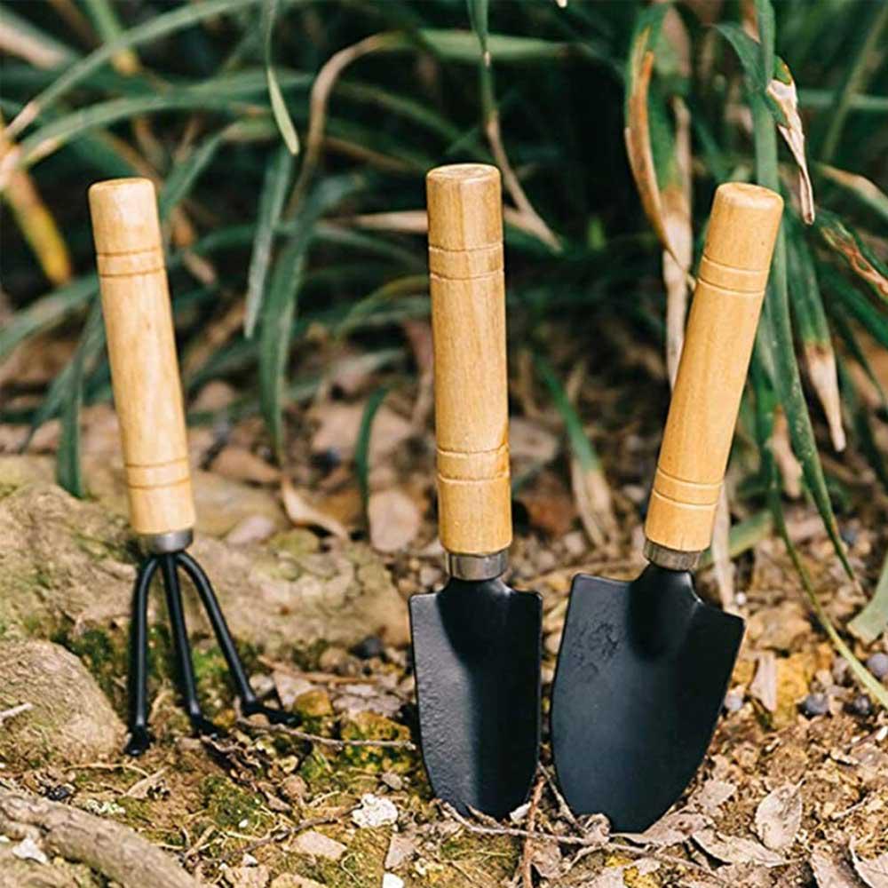 Набор мини садовых инструментов для посадки комнатных растений (NR0276) - фото 5 Набор мини садовых инструментов для посадки комнатных растений (NR0276) - фото 5