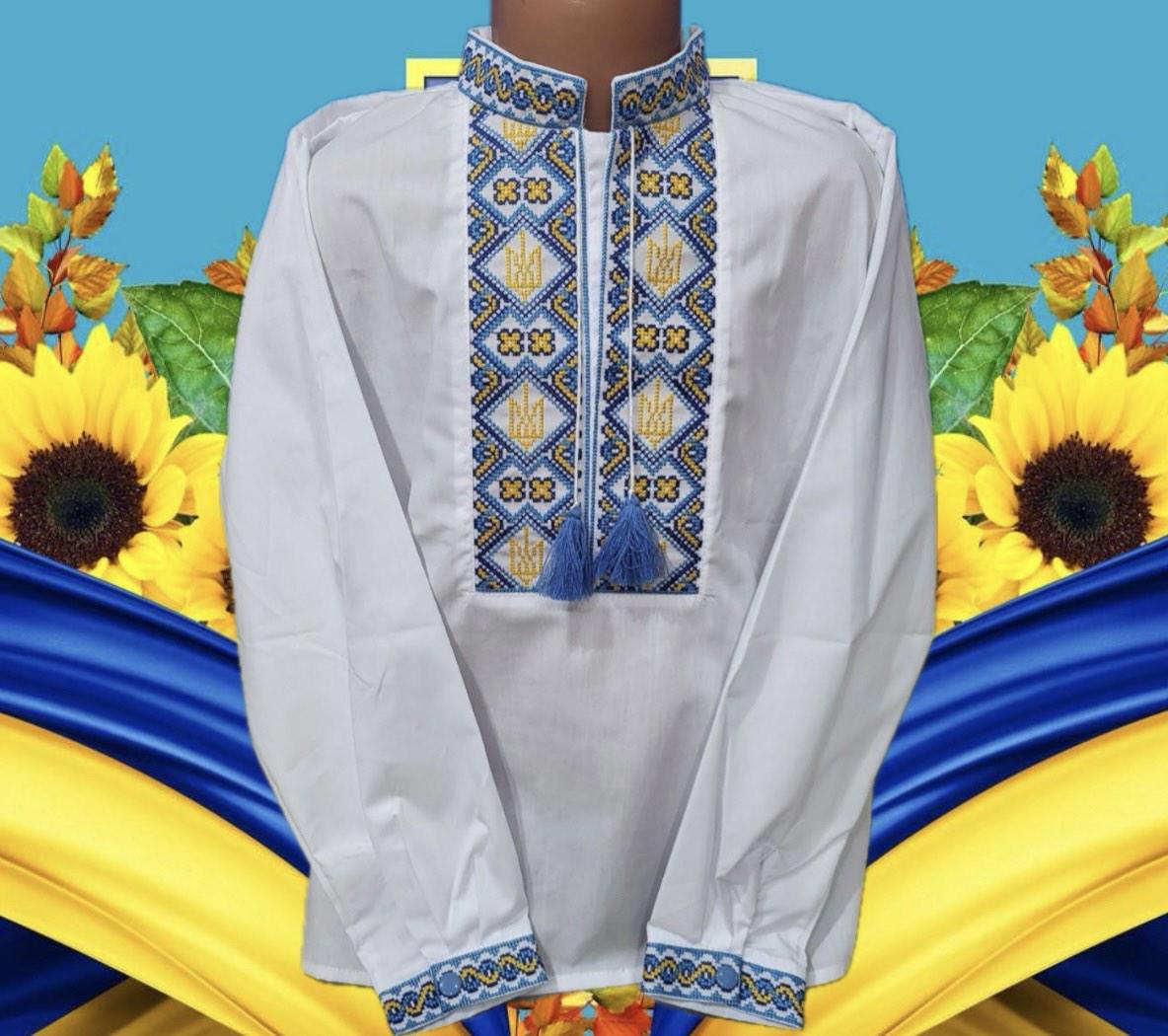 Вышиванка детская для мальчика на 4 года 104 см (28104352)