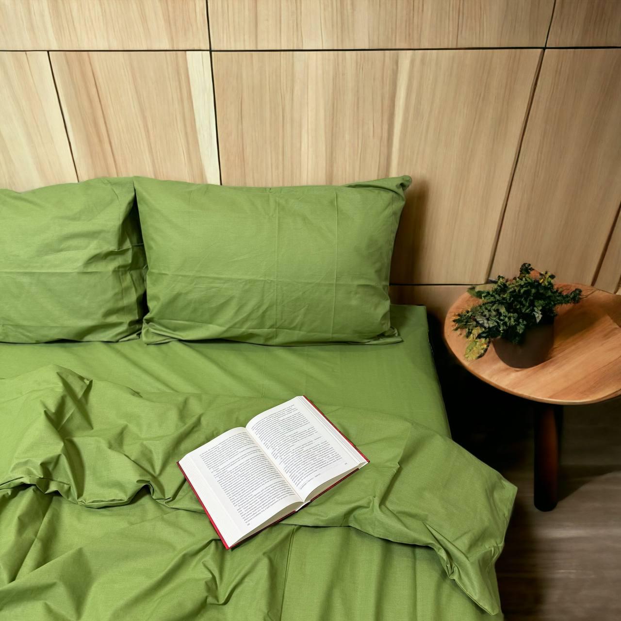 Комплект постільної білизни бавовняний євро 200х22/70х70 см Зелений (13043544)