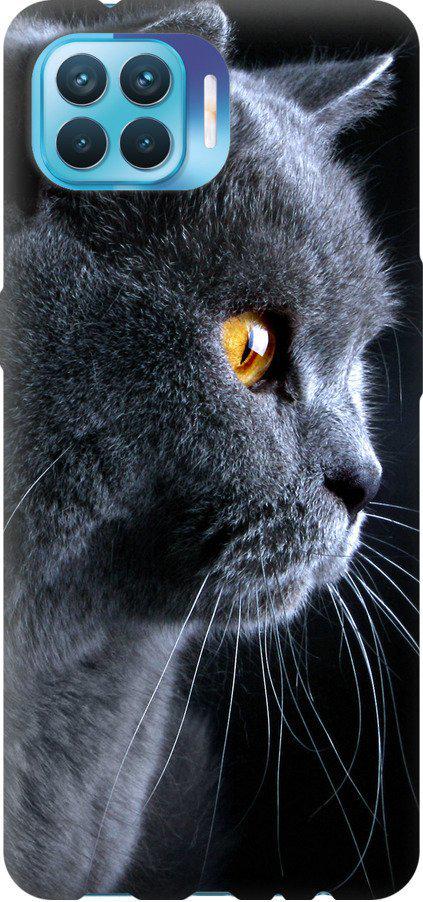 Чехол на Oppo A93 Красивый кот (3038u-2185-42517)