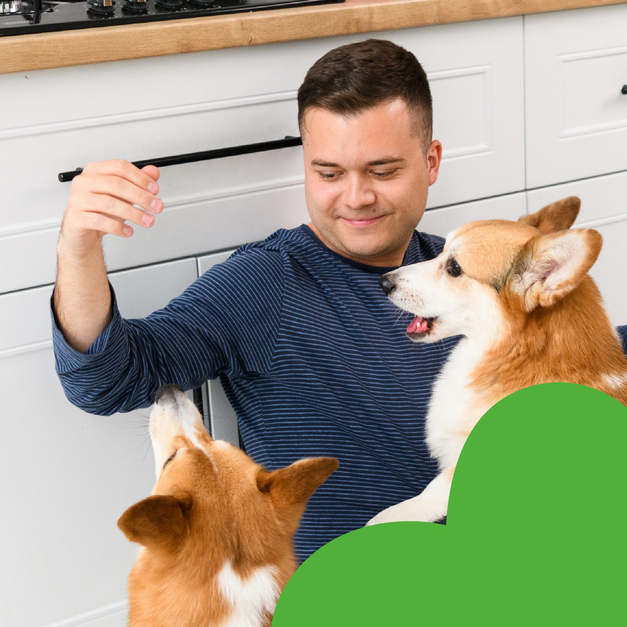 Лакомства для собак Mavsy freeze dried RABBIT PARFAIT ON A SPINACH PILLOW WITH CREAM от 3-х месяцев 50 г (24624815) - фото 5 Лакомства для собак Mavsy freeze dried RABBIT PARFAIT ON A SPINACH PILLOW WITH CREAM от 3-х месяцев 50 г (24624815) - фото 5