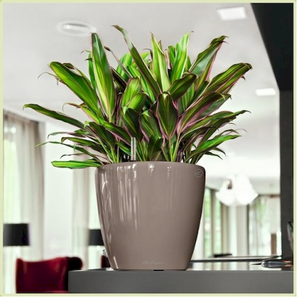 Вазон Lechuza CLASSICO LS 21 Черный - фото 9