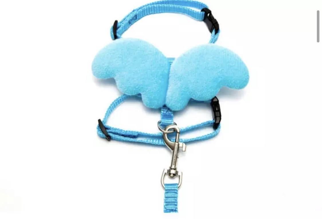 Поводок для собак с крыльями ангела S Light Blue (3432423)