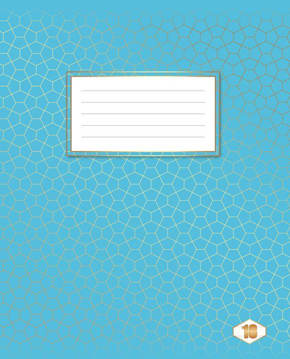 Зошити учнівські Тетрада Мікс 24 аркуша клітинка 20 шт. в упаковці