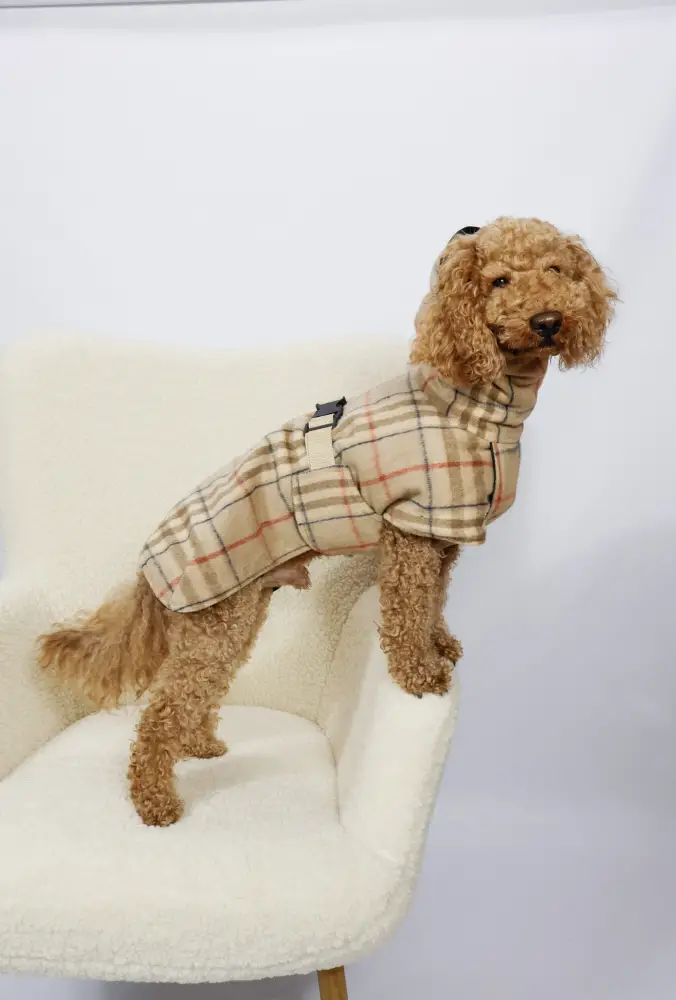 Жилет Dogs Bomba стежка двосторонній Пудровий (G-121/9) - фото 2 Жилет Dogs Bomba стежка двосторонній Пудровий (G-121/9) - фото 2