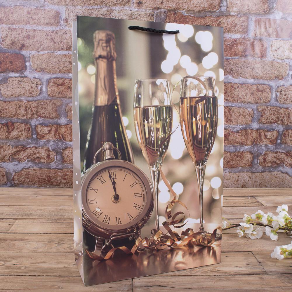 Пакет шампанское (4681-w3s-101)