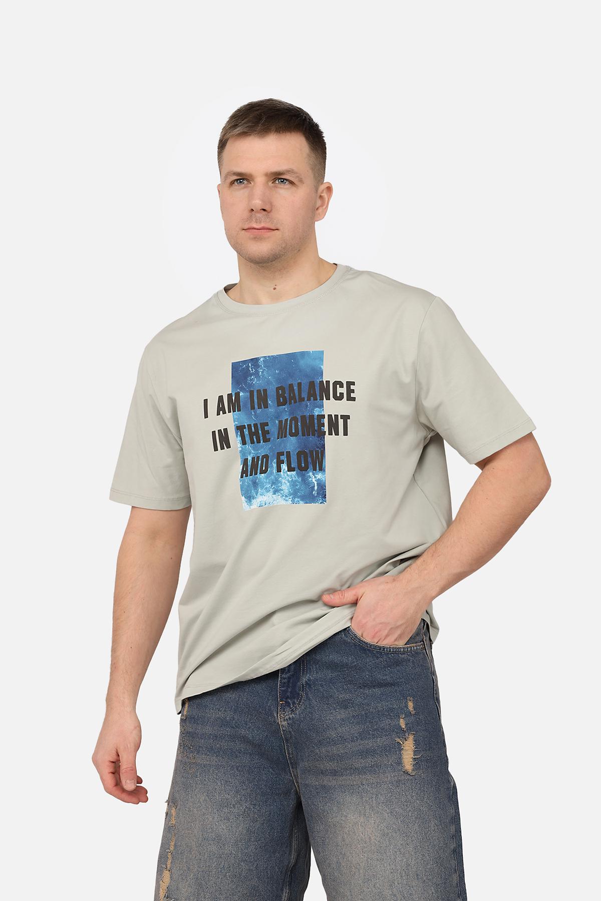 Футболка мужская ЦБ-00270062 с коротким рукавом р. 44 Светло-серый (SKT001045291)