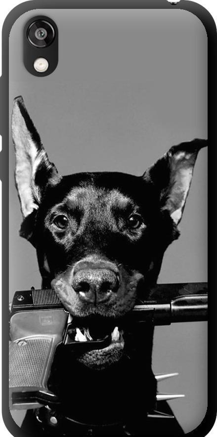 Чехол на Huawei Honor 8S Доберман (2745b-1679-42517)