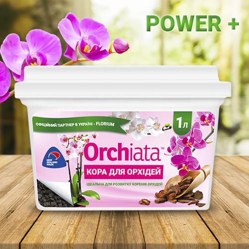 Орхіату Florium Power+ субстрат 1 л 12-18 мм (12451) - фото 2 Орхіату Florium Power+ субстрат 1 л 12-18 мм (12451) - фото 2
