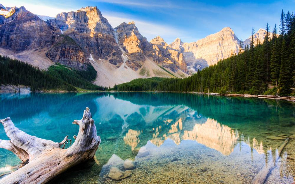 Картина Природа PR120 55х85 см