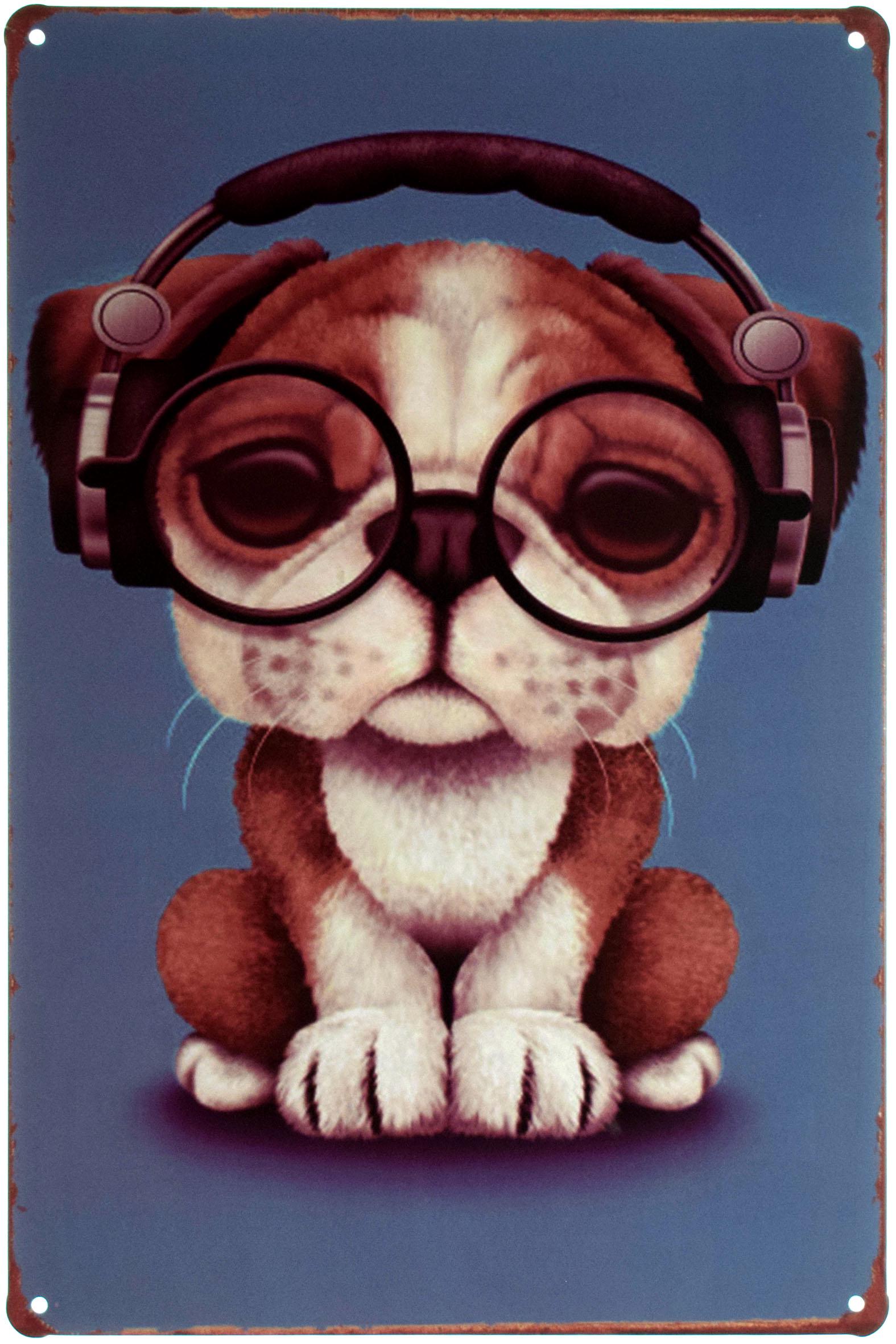 Табличка металлическая Милый Щенок Английского Бульдога/Cute English Bulldog Puppy 20x30 см