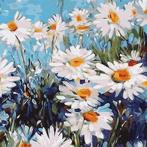 Картина по номерам Идейка "Ромашковое поле" 30х30 см (KHO3101)