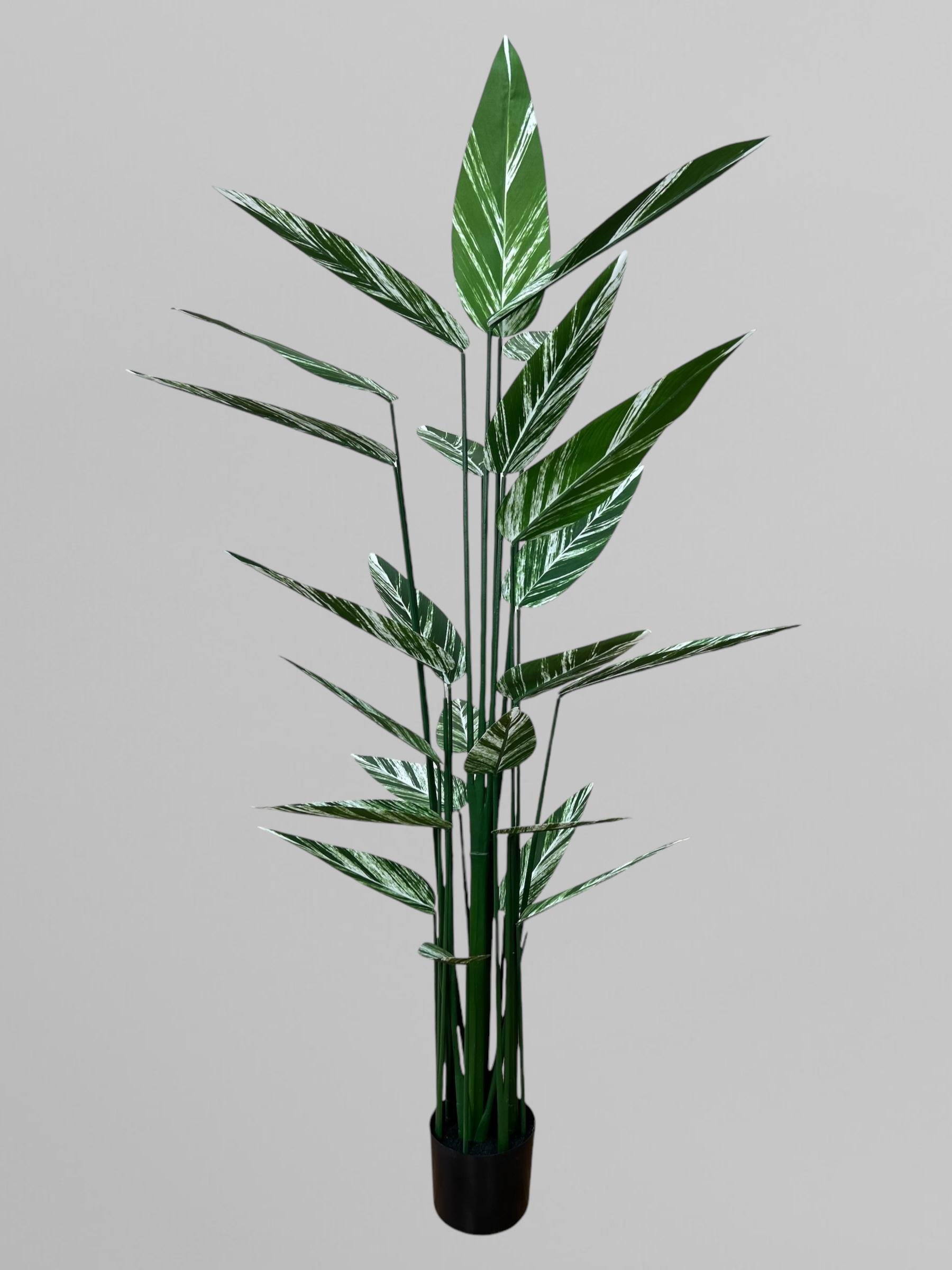 Искусственная стрелиция пестролистная 180 см Бело-зеленый (Д05009)