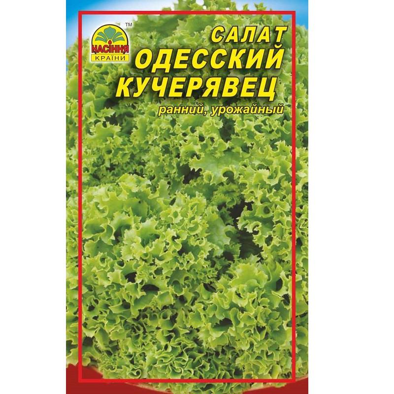 Семена салата Одесский кучерявец Насіння країни 10 г (1137298912)