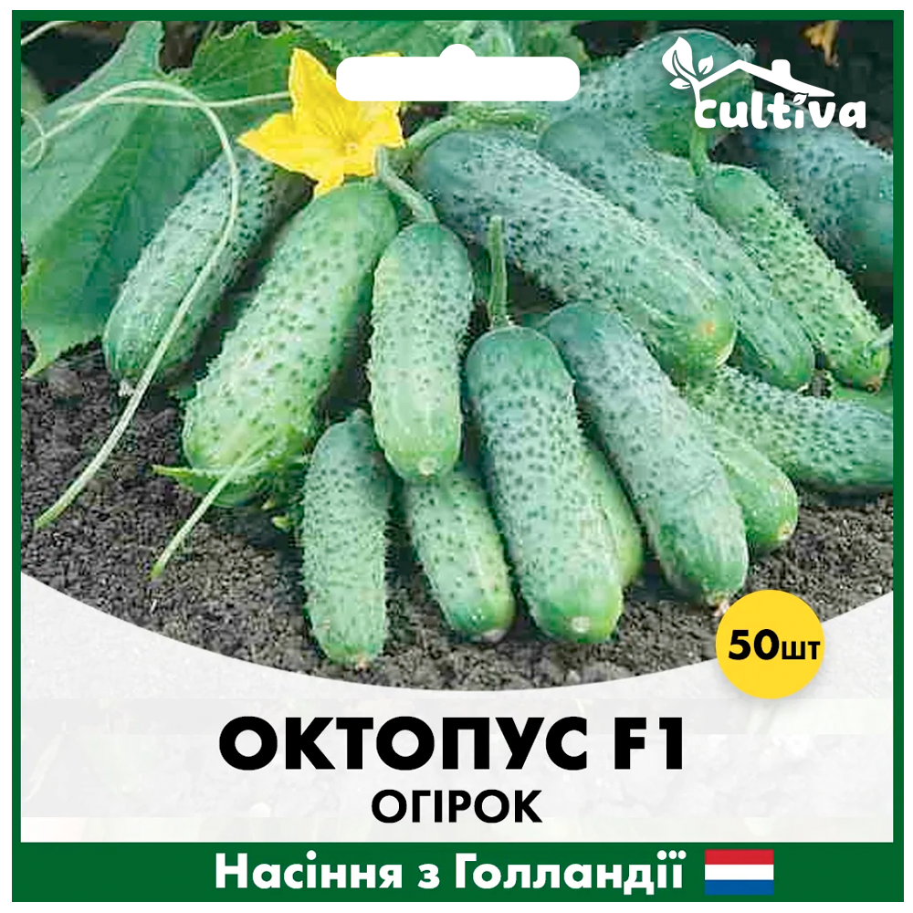 Семена огурца Syngenta Октопус F1 50 шт. (00187)