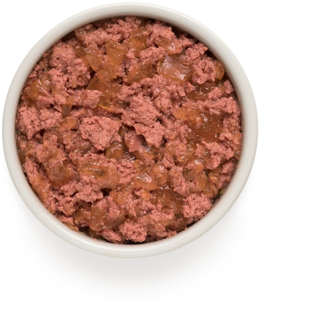 Корм влажный для взрослых собак Grandorf RABBIT & TURKEY с кроликом и индейкой 400 г - фото 2 Корм влажный для взрослых собак Grandorf RABBIT & TURKEY с кроликом и индейкой 400 г - фото 2