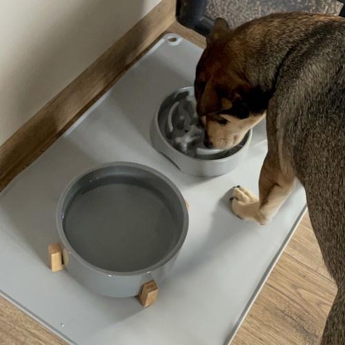 Підкладка для тварин Purlov 24295 силіконова 60x40 см (27039263) - фото 8