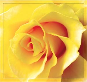 Фотошпалери на паперовій основі Ніка Чарівність 6Л 140х145 см (2000000453576)