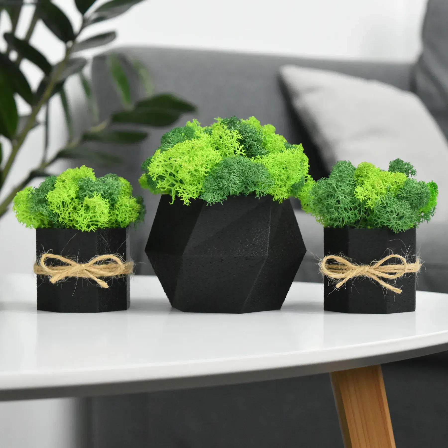 Комплект кашпо со стабилизированным мхом Ягель 3 шт. Черный/Зеленый/Салатовый (NA-C-1)