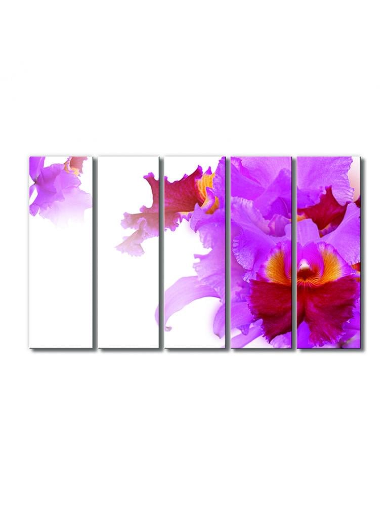 Картина модульная Сиренево-красная орхидея 5 модулей 120x180 см