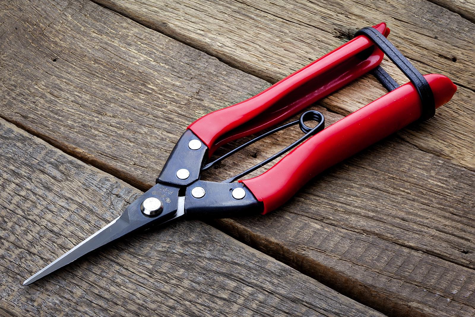 Ножиці садові Sagawata з нержавіючої сталі 200 мм (P-921) - фото 8