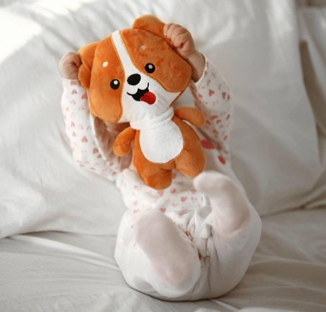 Игрушка-грелка Корги с вишневыми косточками (1643642617) - фото 3 Игрушка-грелка Корги с вишневыми косточками (1643642617) - фото 3