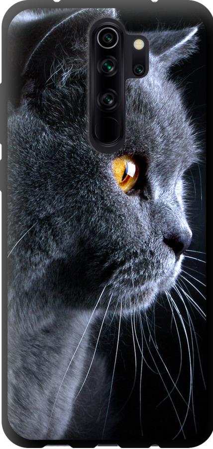 Чехол на Xiaomi Redmi Note 8 Pro Красивый кот (3038b-1783-42517) Чехол на Xiaomi Redmi Note 8 Pro Красивый кот (3038b-1783-42517)