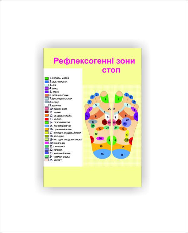 Плакат Vivay "Рефлексогенные зоны стоп" 118х84 см (25787252)