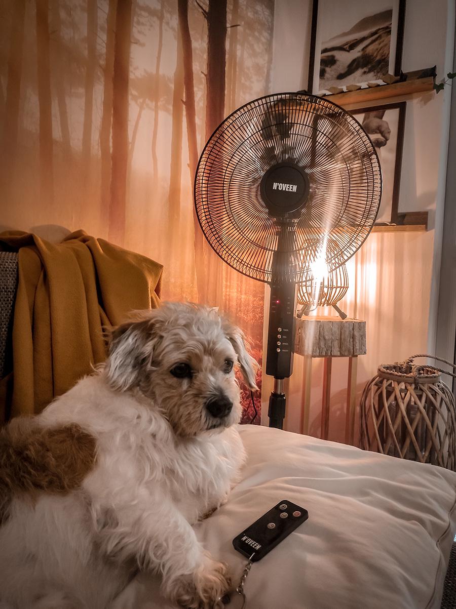 Вентилятор підлоговий Noveen F455 з таймером 55 Вт (5902221621475) - фото 4 Вентилятор підлоговий Noveen F455 з таймером 55 Вт (5902221621475) - фото 4