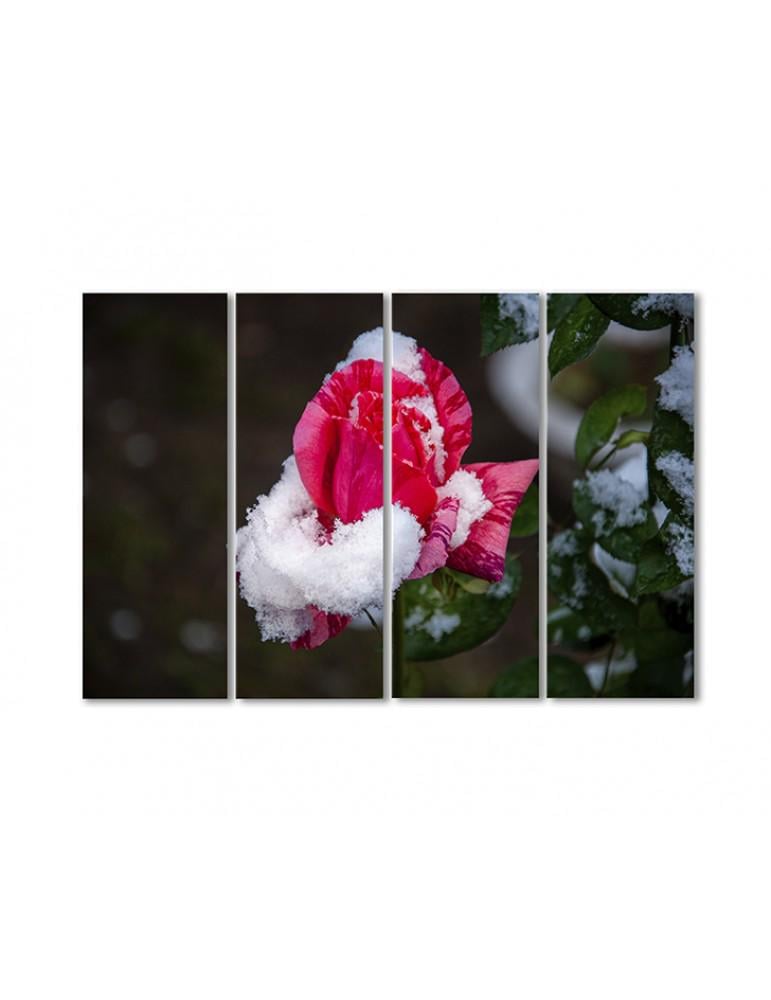 Картина модульная Роза в снегу 4 модуля 80x120 см