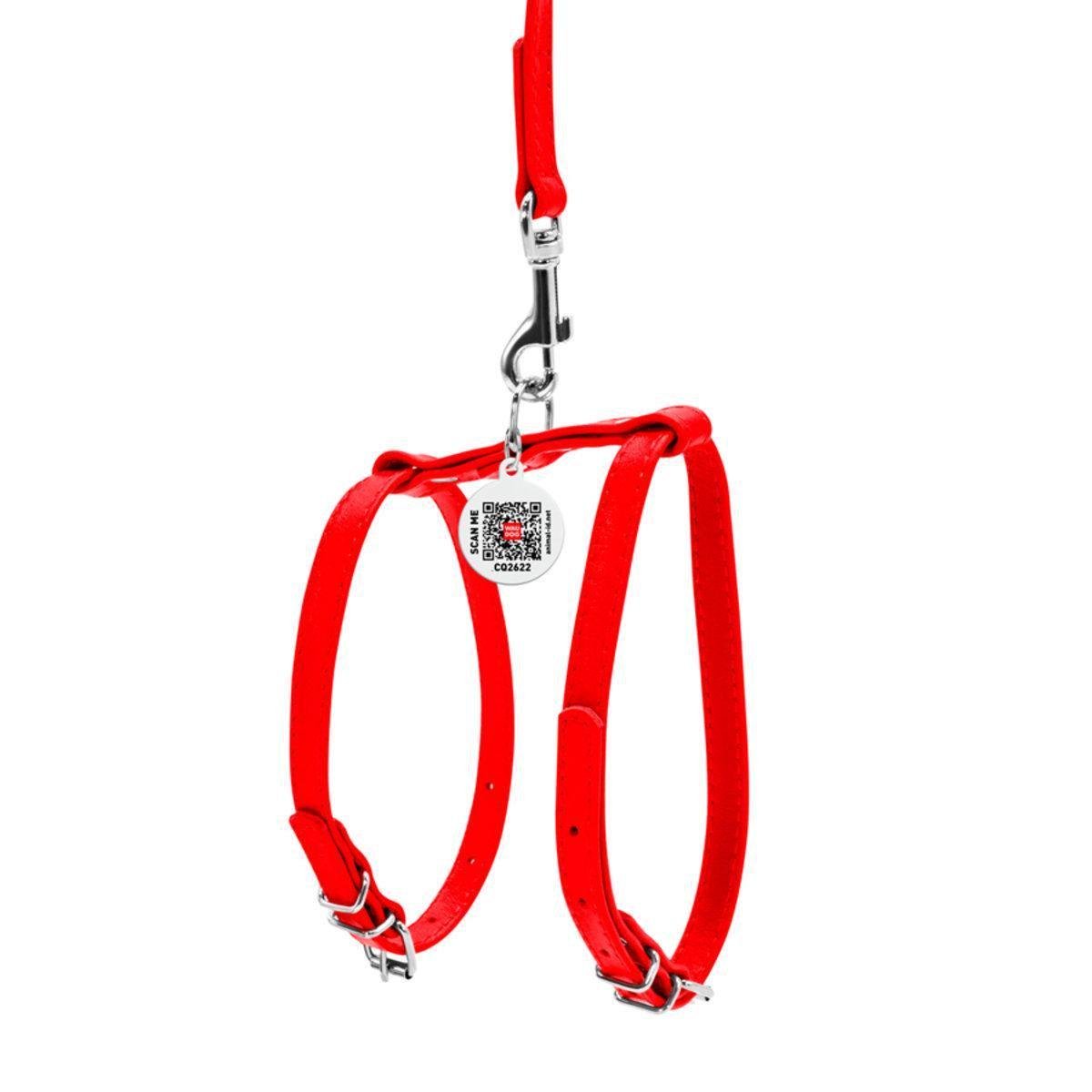 Шлея с поводком для собак Waudog Glamour с QR паспортом/кожаной 9 мм х 20-30 см х 30-40 см Красный (33993 Col)