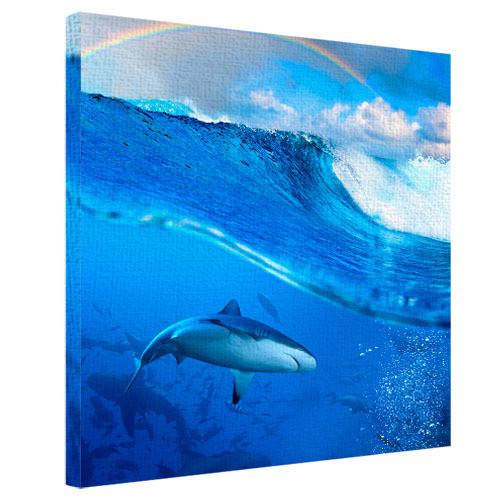 Картина на холсте Море 50х50 см (H5050_PRI002)