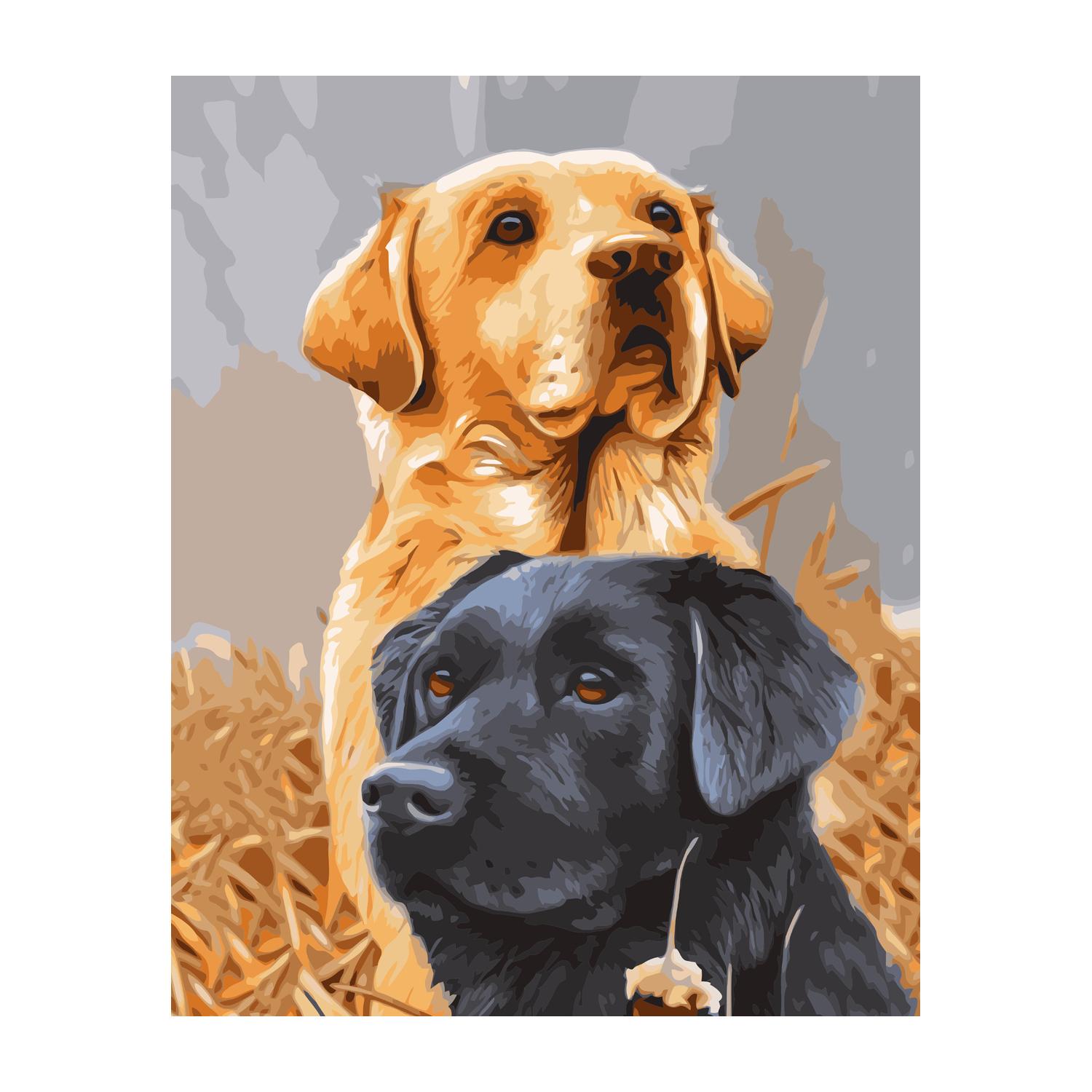 Картина по номерам Strateg Два ладбрадора 40x50 см (VA-3038)