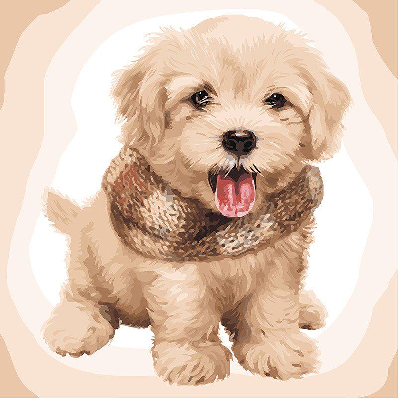 Картина по номерам Ідейка Пушистый щенок 40х40 см (KHO4116)