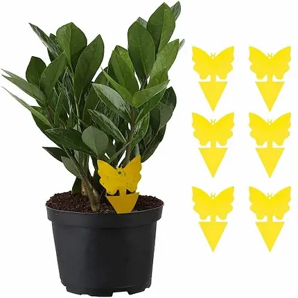 Пастка липка еко для комах Метелик двостороння (1690226444) - фото 6 Пастка липка еко для комах Метелик двостороння (1690226444) - фото 6