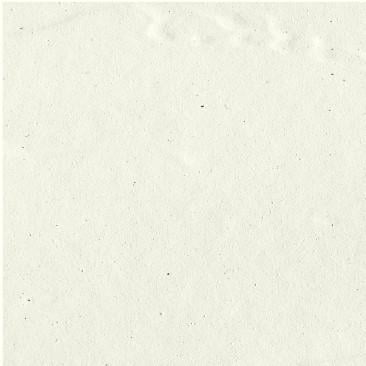 Краска меловая Borma Wachs Shabby Kreide Farbe Decoration Line 125 мл 08 Слоновая кость Ivory - фото 2 Краска меловая Borma Wachs Shabby Kreide Farbe Decoration Line 125 мл 08 Слоновая кость Ivory - фото 2