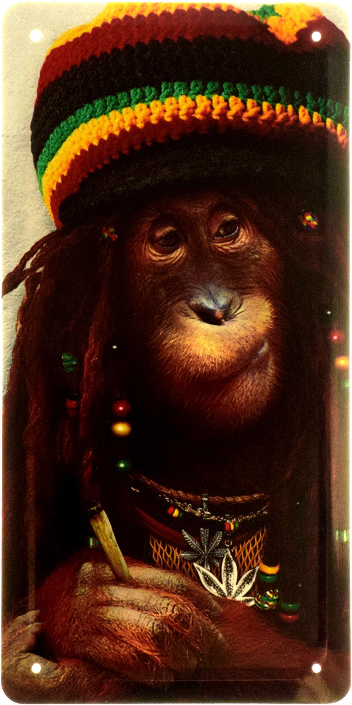 Табличка металева "Rasta Monkey" 15x30 см (ms-103688) Табличка металева "Rasta Monkey" 15x30 см (ms-103688)