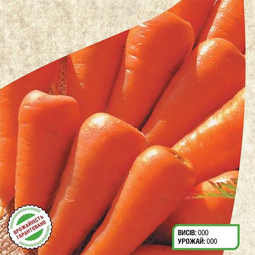 Насіння Морква Florium Шантане Роял (10744) - фото 4