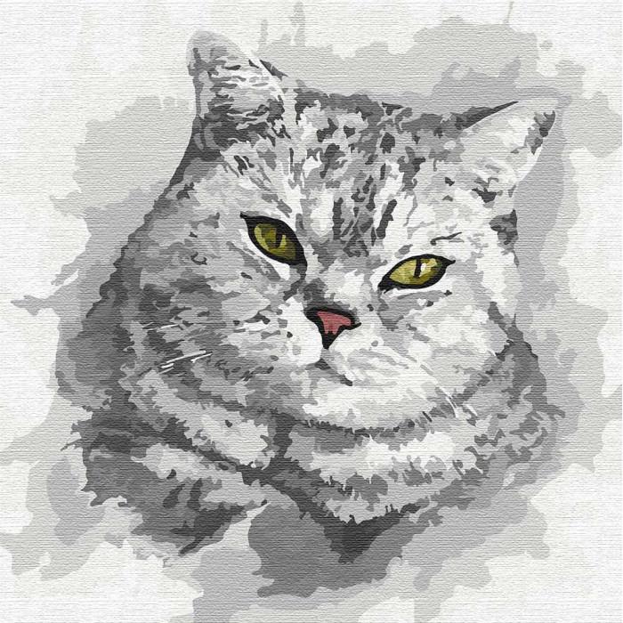 Картина по номерам Идейка "Зеленоглазый взгляд" 30х30 см (KHO4200)