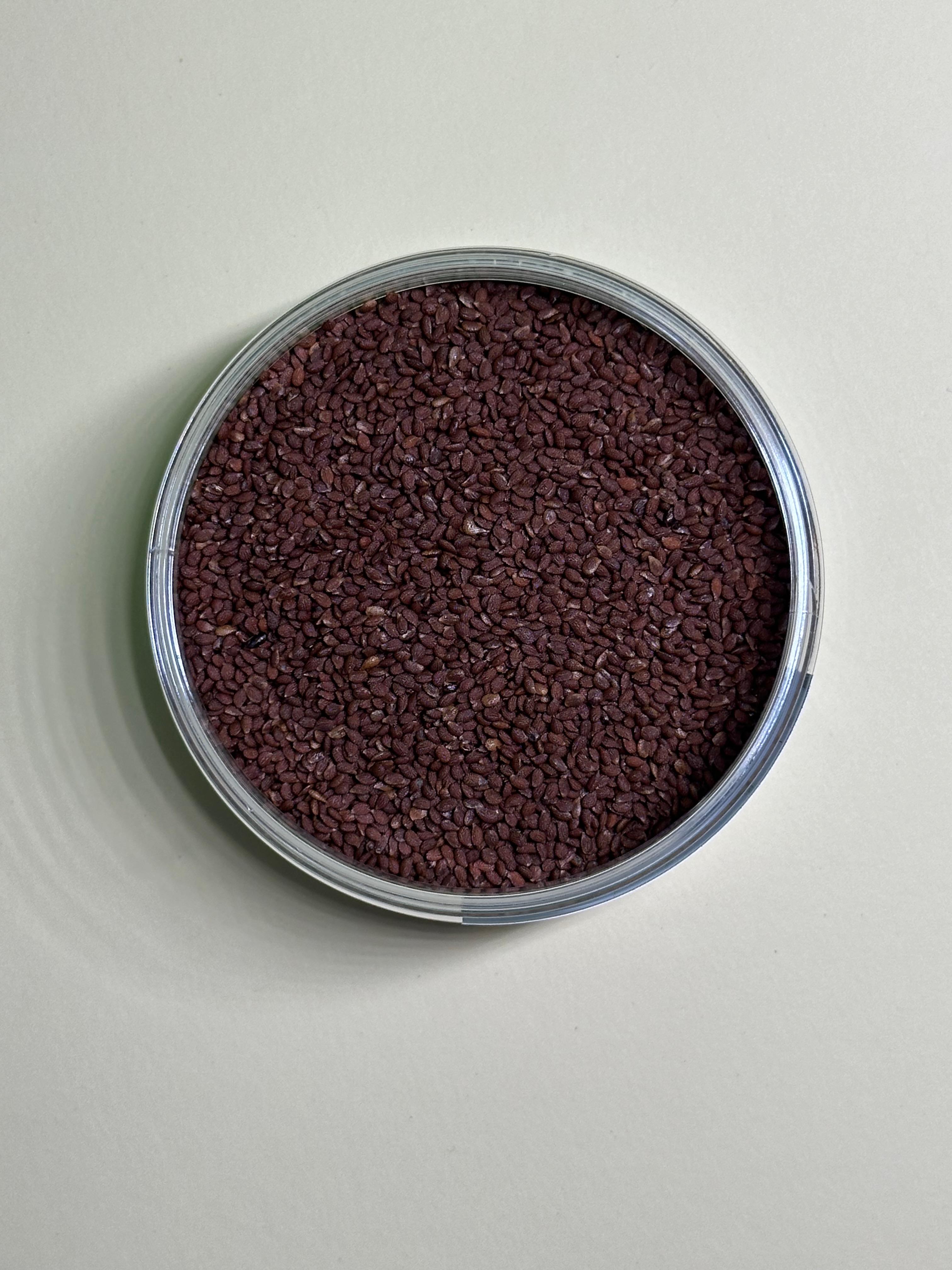 Сушеные косточки киви 100 г