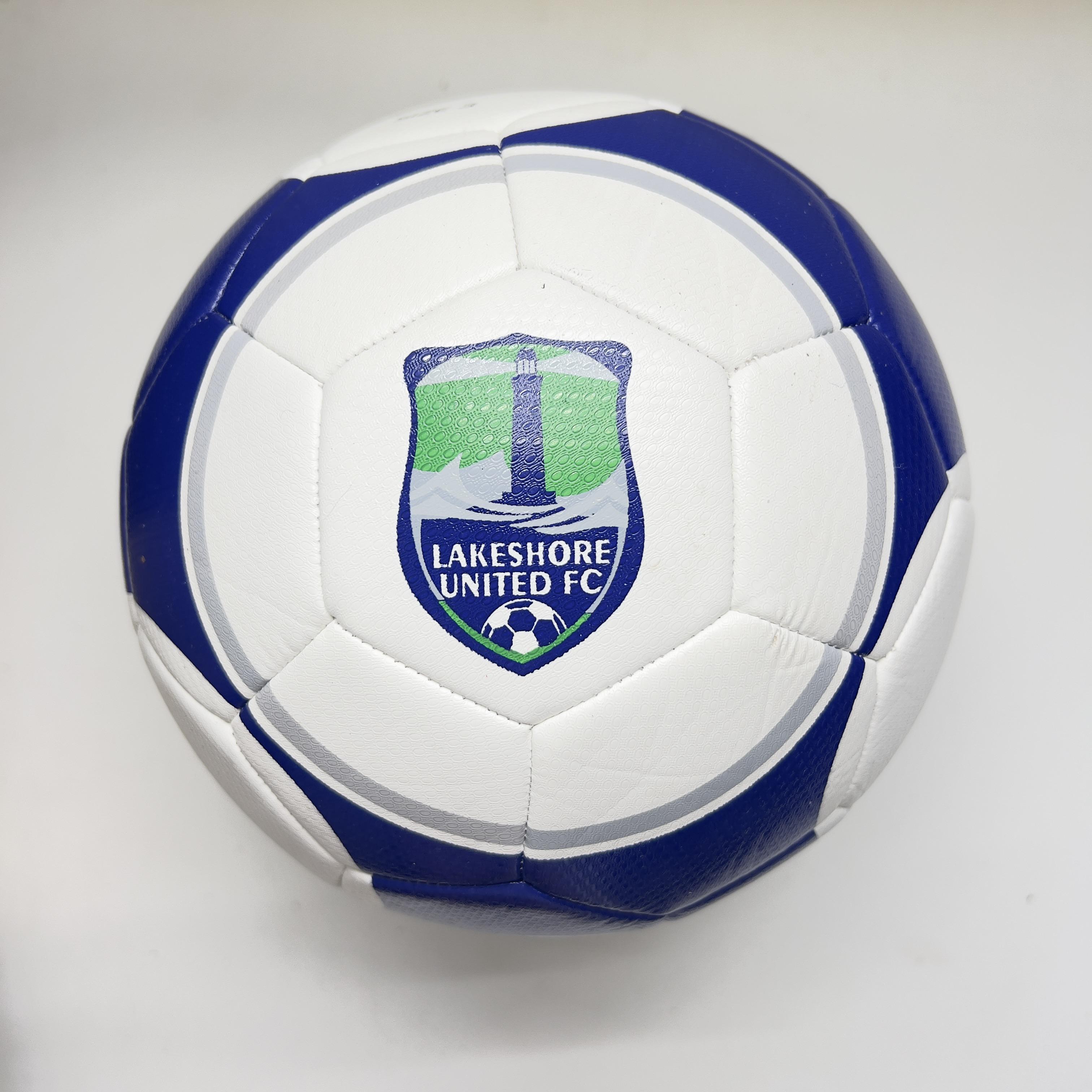 Мяч футбольный Practic Lakeshore United FC Size 3 (11253393)
