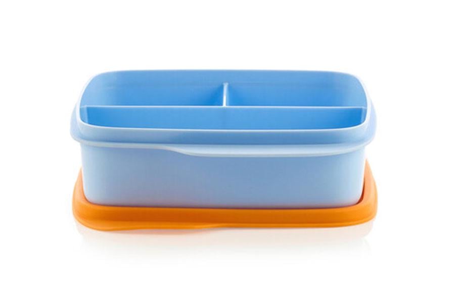 Пищевой контейнер Tupperware Школьник 550 мл (36563629) Пищевой контейнер Tupperware Школьник 550 мл (36563629)