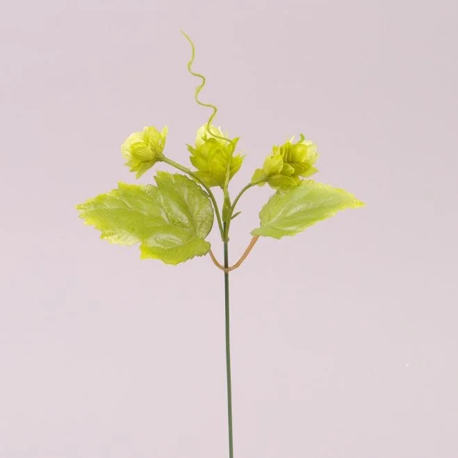 Набор веточек Хмеля Flora Зеленый 12 шт. (72834)