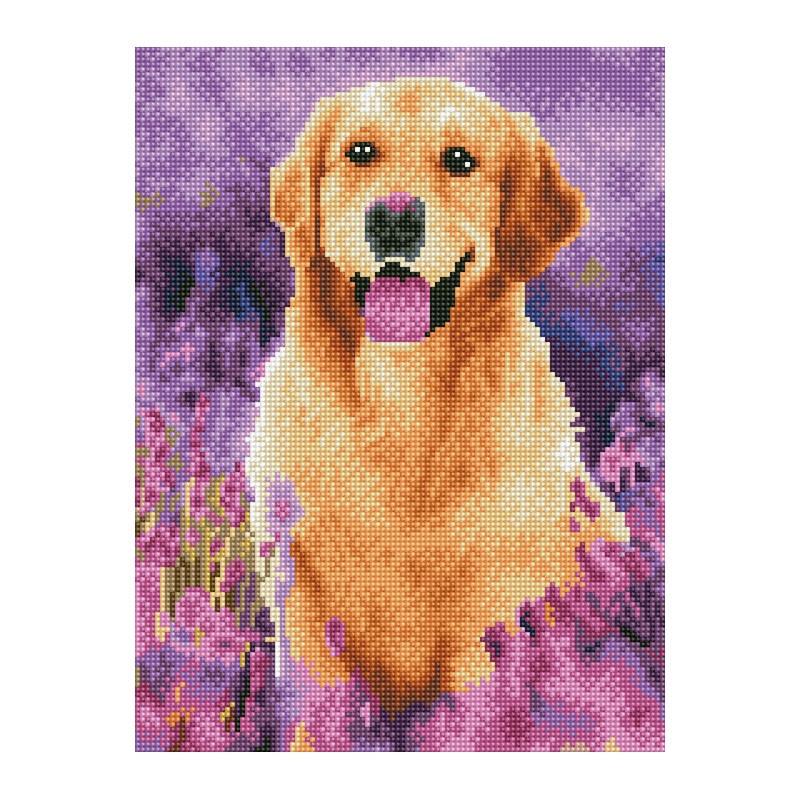 Алмазная мозаика Rainbow Art Пес среди лаванды 40х30 см (EJ1412)