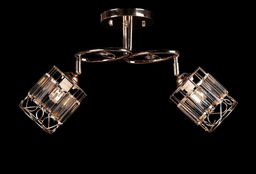 Люстра с плафонами Ray L9266A/2 FGD (IR005993)