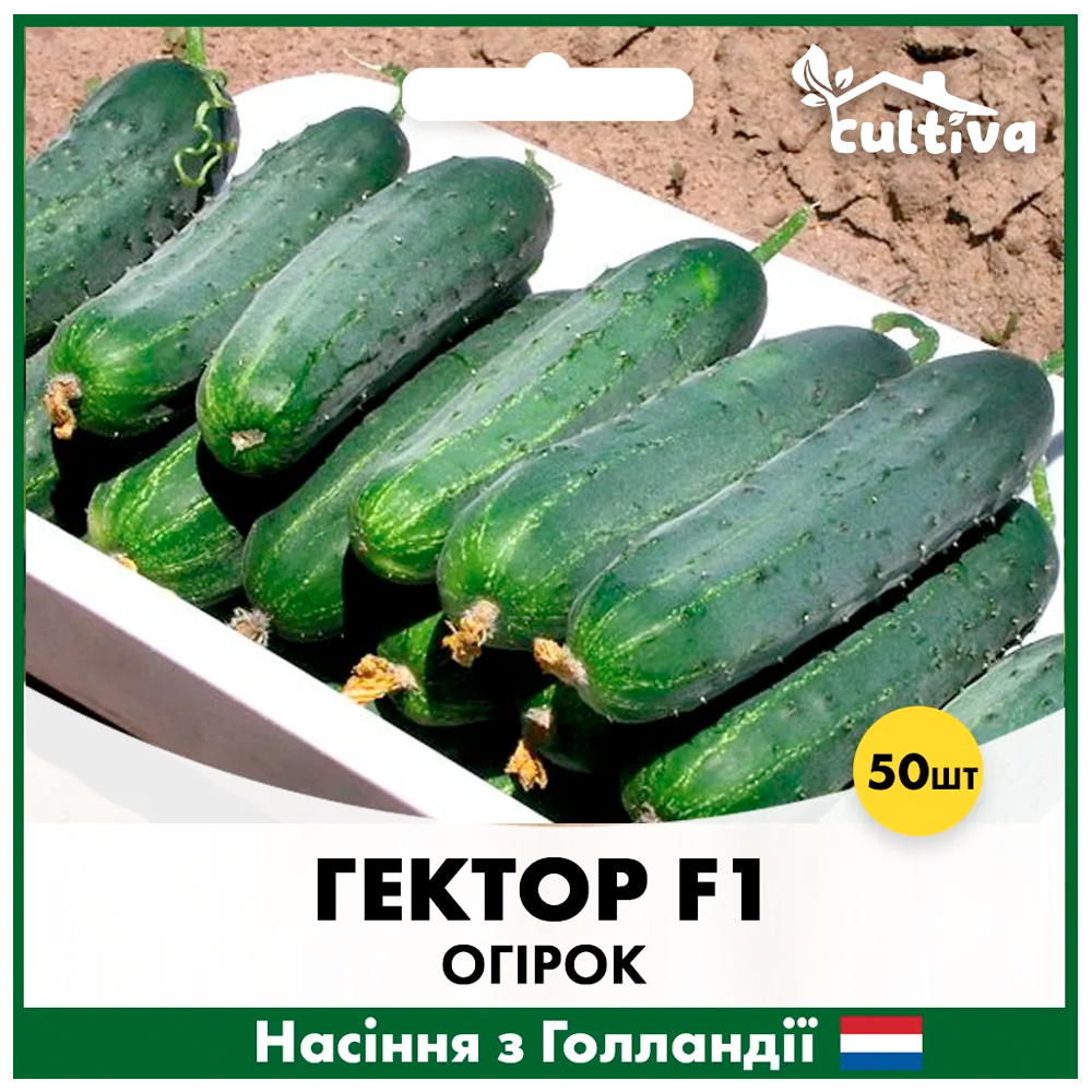 Семена огурца Nunhems Гектор F1 50 шт. (O21)