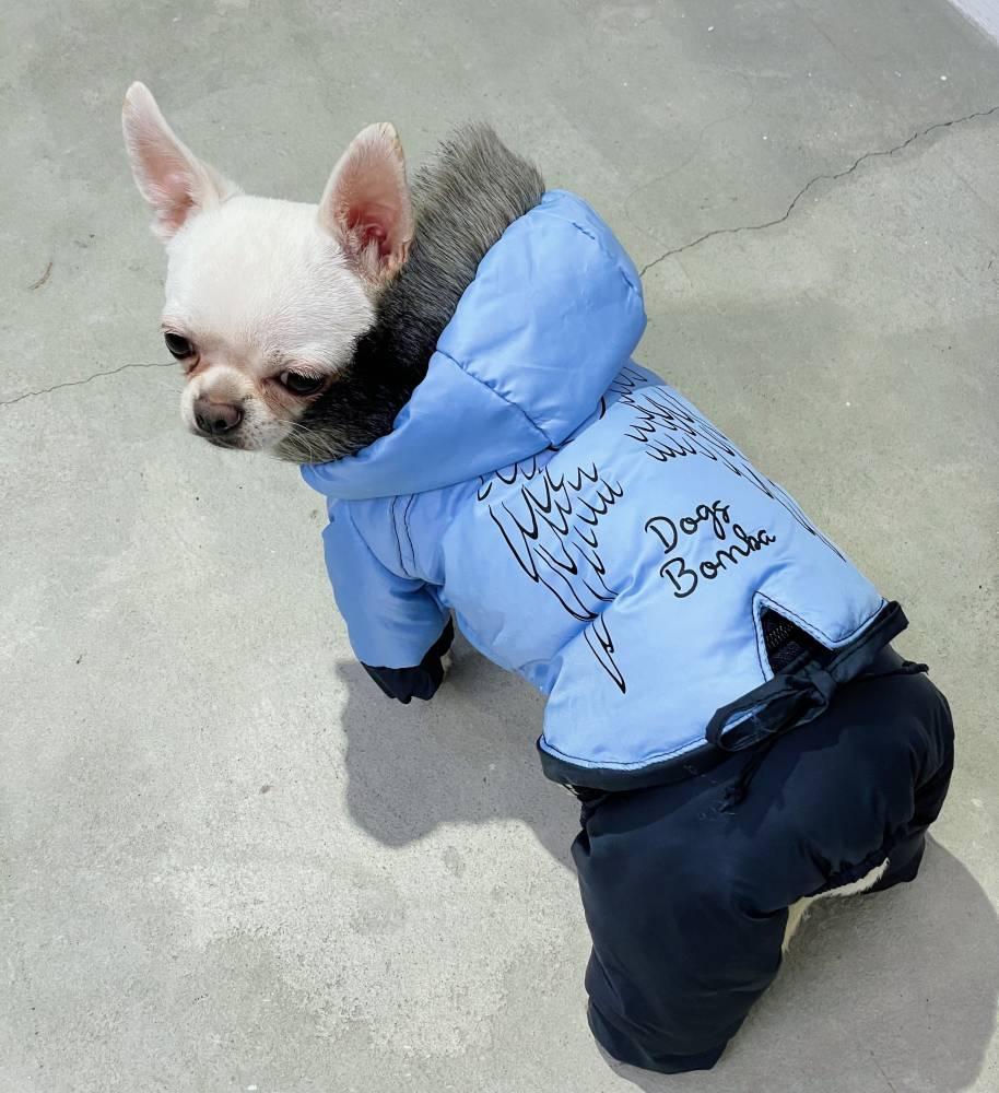 Комбінезон для собак зі знімними штанами CO-19 р. 2 Блакитний (70579227)